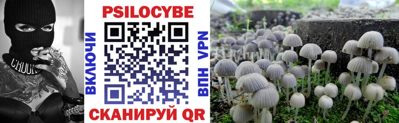 где купить наркоту  Южноуральск  Псилоцибиновые грибы MAGIC MUSHROOMS 